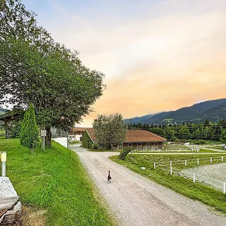 Edelweiss 6 By Interhome
